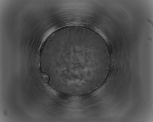 X0000093121075200709261323