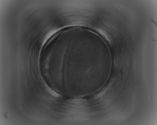X0000093121077200709261323