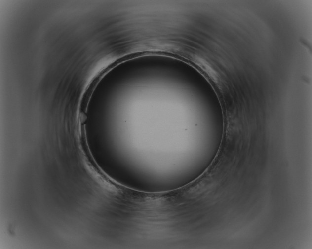 X0000093121080200709261323