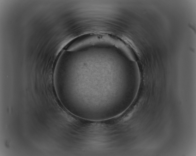 X0000093121081200709261323