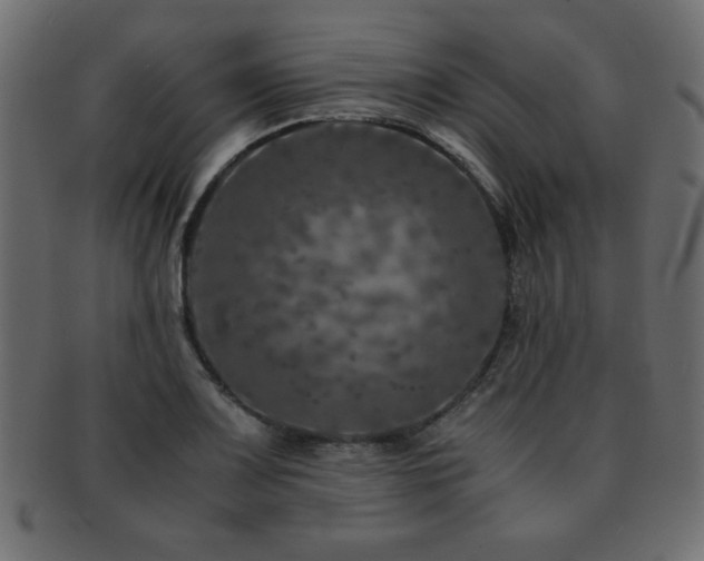 X0000093121083200709261323