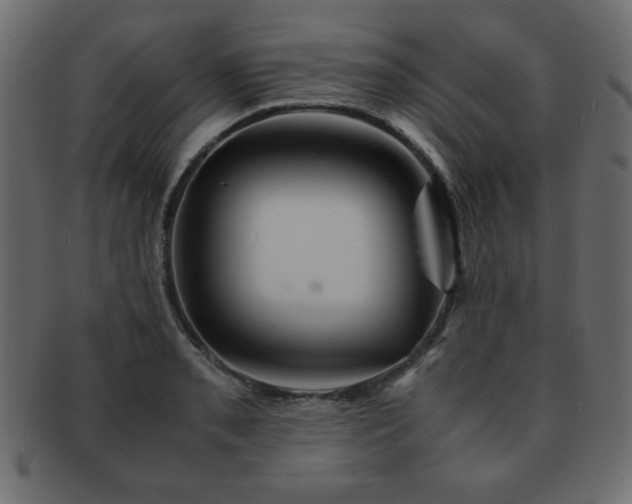 X0000093121085200709261323