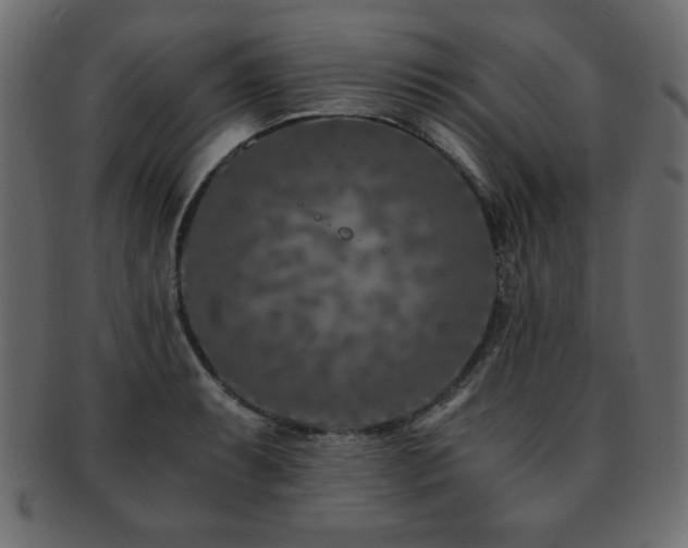 X0000093121087200709261323