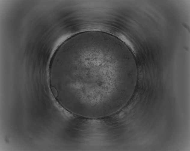 X0000093121088200709261323
