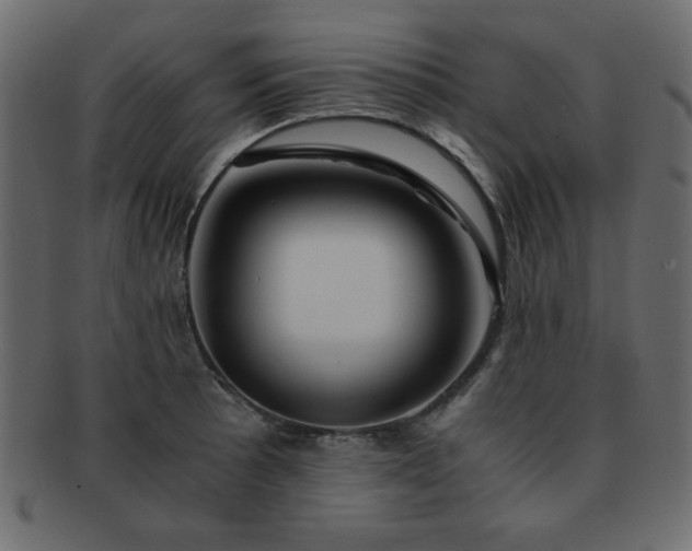 X0000093121089200709261323