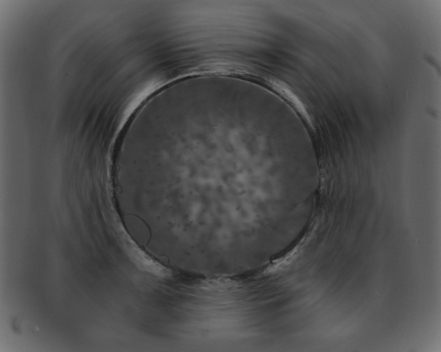 X0000093121091200709261323