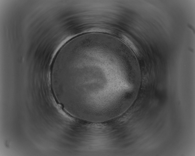 X0000093121092200709261323
