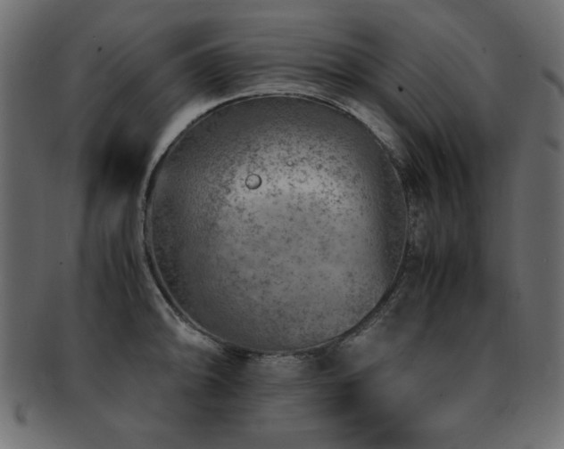 X0000093121094200709261323
