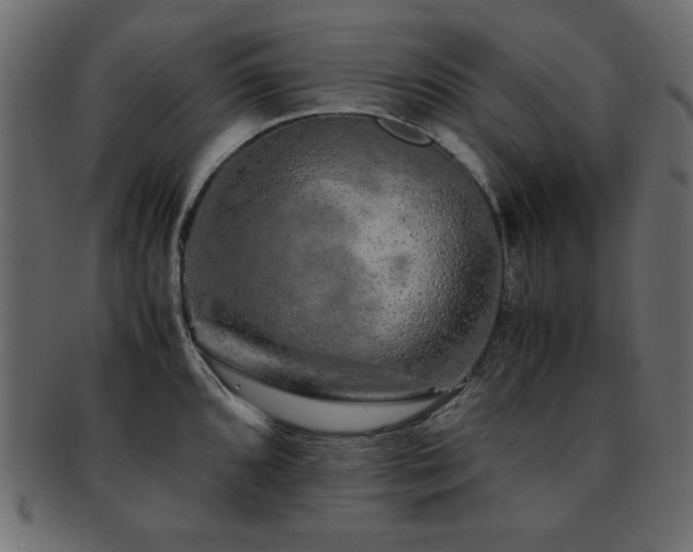 X0000093121096200709261323