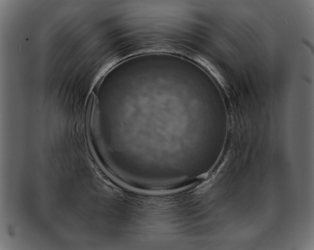 X0000093121097200709261323