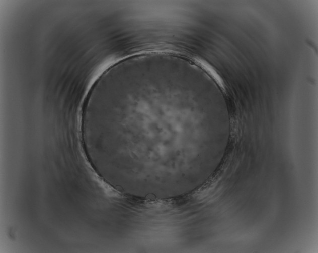 X0000093121099200709261323
