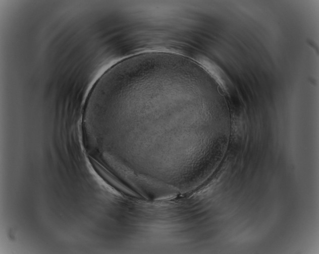 X0000093121100200709261323