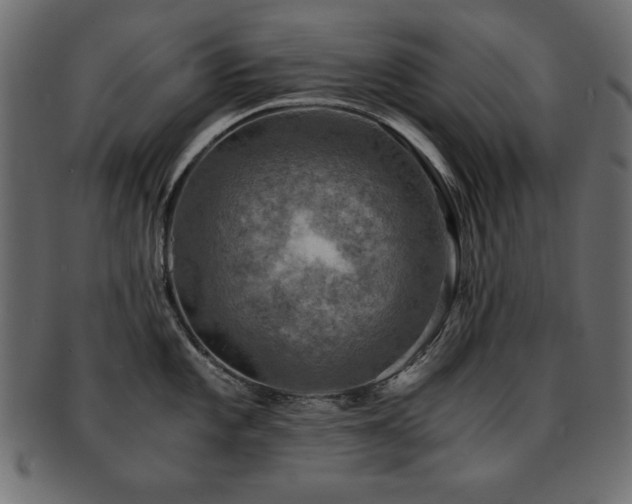 X0000093121101200709261323