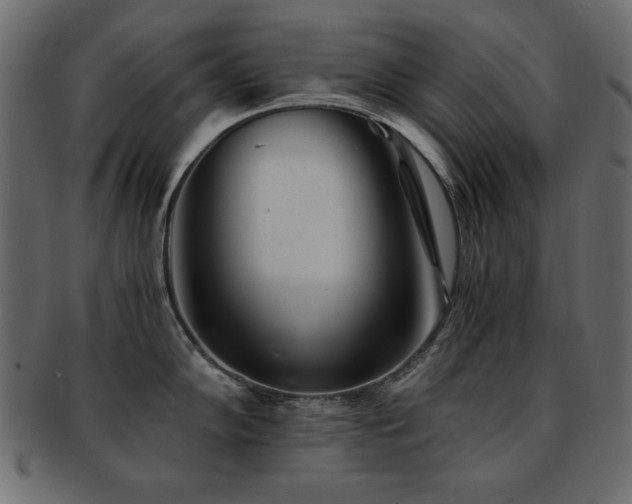 X0000093121102200709261323