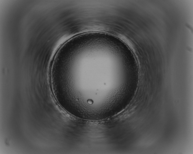 X0000093121104200709261323