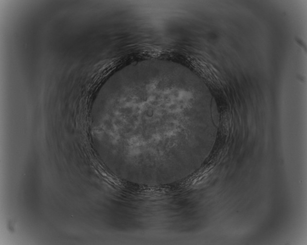 X0000093121105200709261322