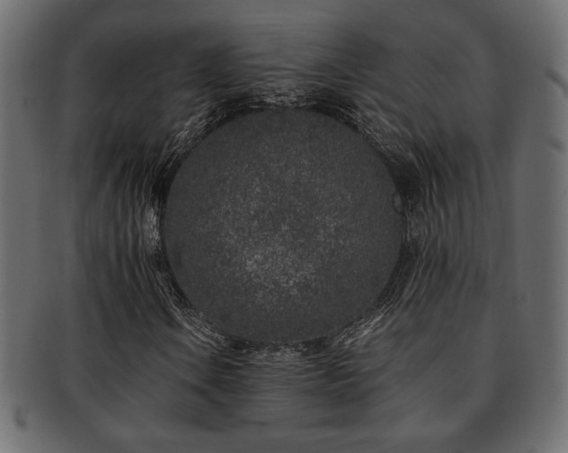 X0000093121106200709261322