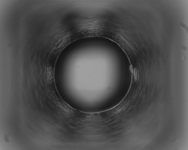 X0000093121107200709261322