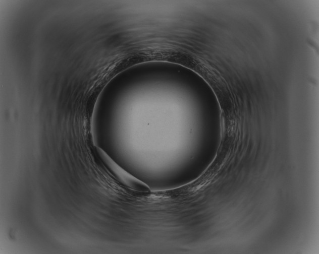 X0000093121108200709261322