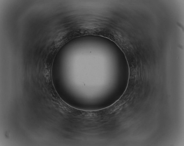 X0000093121109200709261322