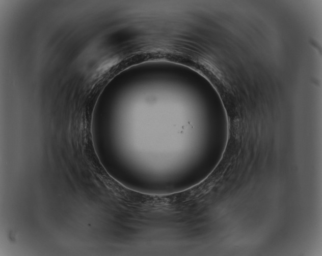 X0000093121111200709261322