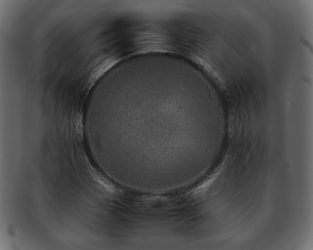 X0000093121113200709261322