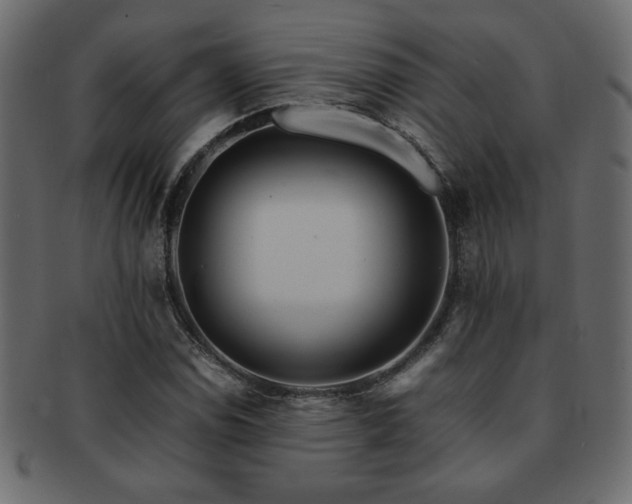 X0000093121114200709261322