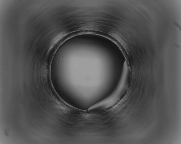 X0000093121115200709261322