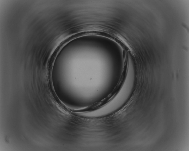 X0000093121116200709261322