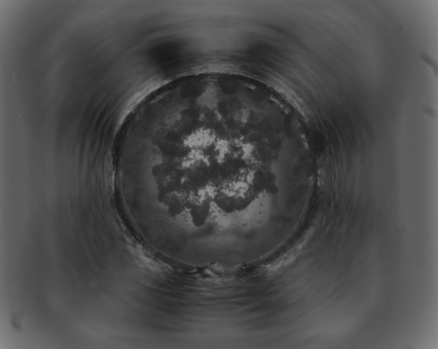 X0000093121117200709261322