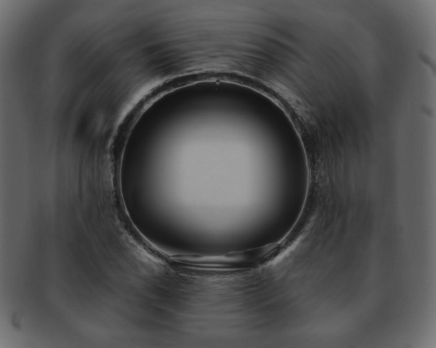 X0000093121118200709261322