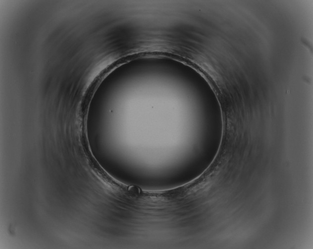 X0000093121119200709261322