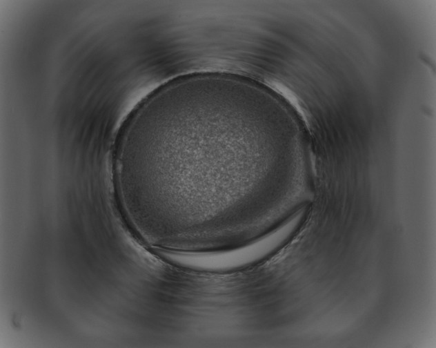 X0000093121120200709261322