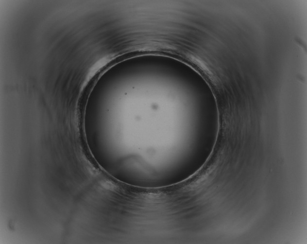 X0000093121122200709261322