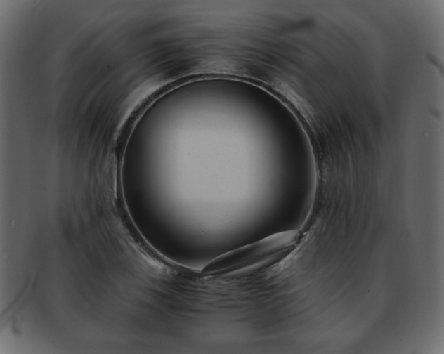 X0000093121123200709261322