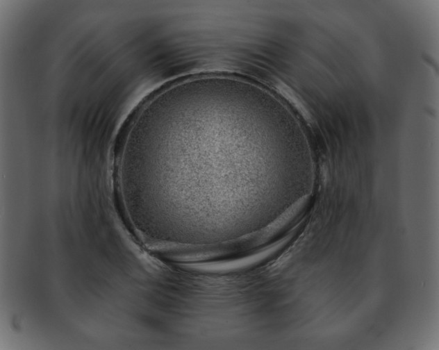 X0000093121124200709261322