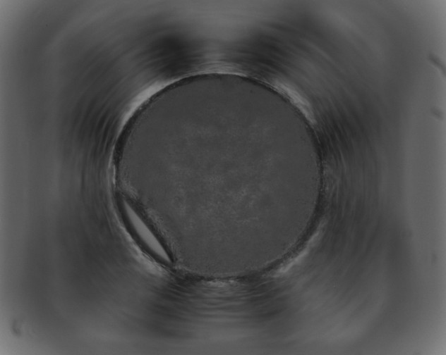 X0000093121125200709261322