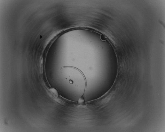 X0000093121126200709261322