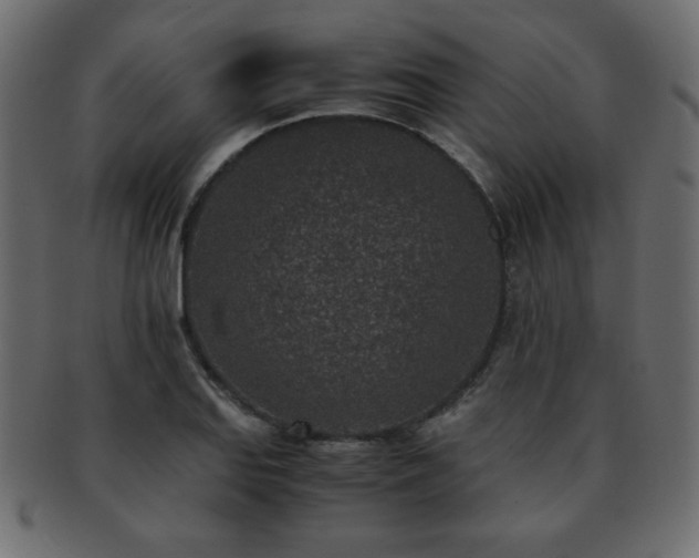 X0000093121127200709261322