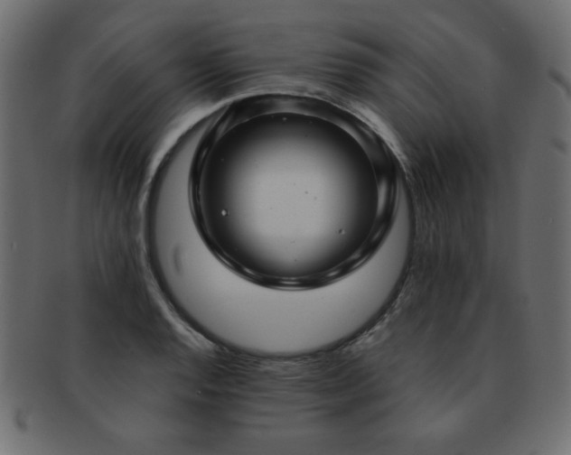 X0000093121128200709261322