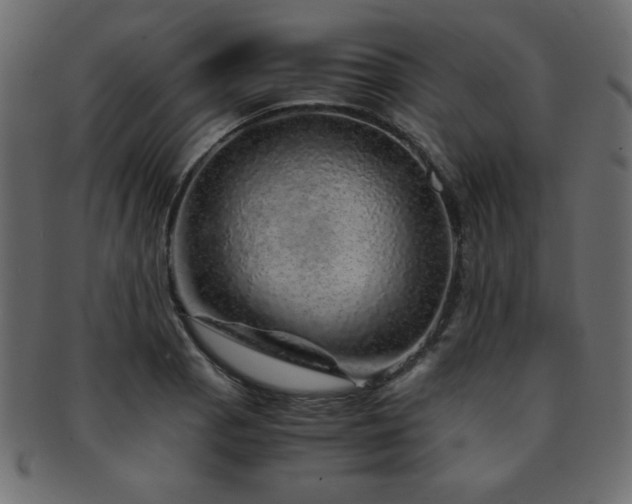 X0000093121129200709261322