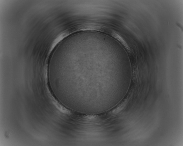 X0000093121130200709261322
