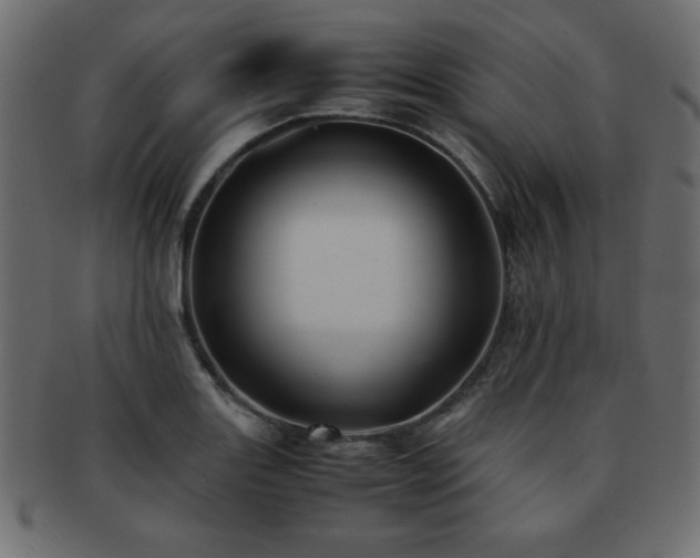 X0000093121131200709261323