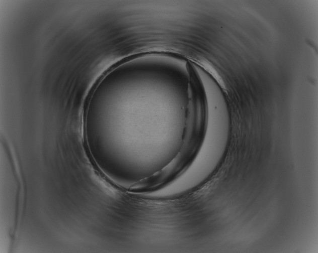 X0000093121132200709261323