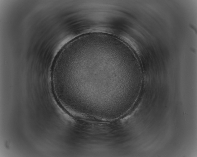 X0000093121133200709261323