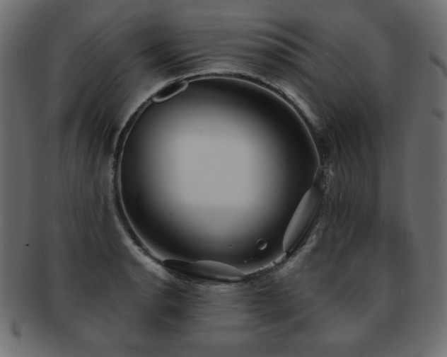 X0000093121134200709261323