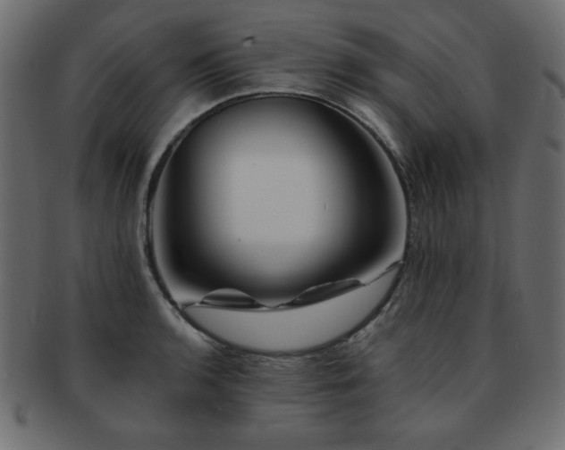 X0000093121136200709261323