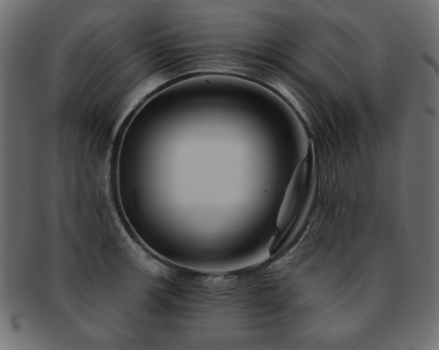 X0000093121139200709261323