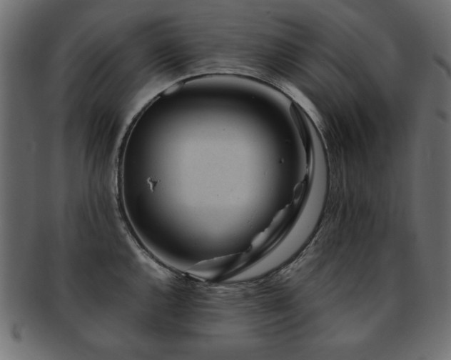 X0000093121144200709261323