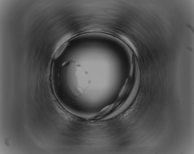 X0000093121146200709261323
